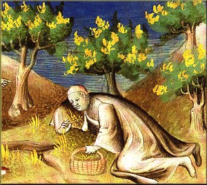 Illustration zu den Sentenzen  von Galen:  Galen beim Sammeln von Heilkräutern - Pergament, Frankreich 15. Jahrhundert